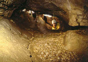 Even tussendoor ontdekt: Grotte Strauss